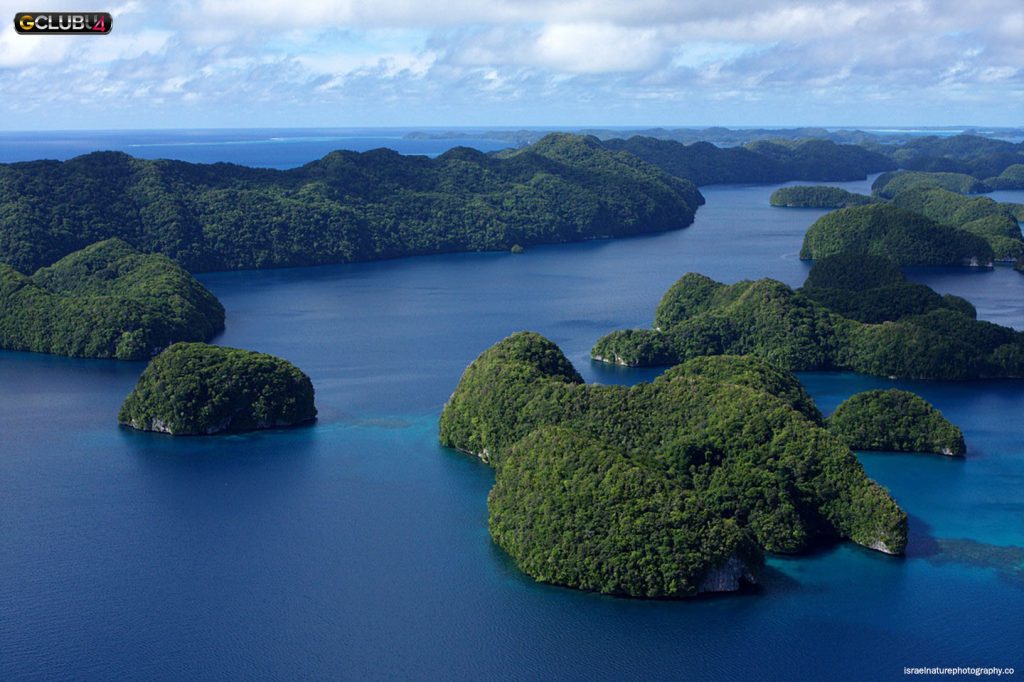 หมู่เกาะแปซิฟิก 