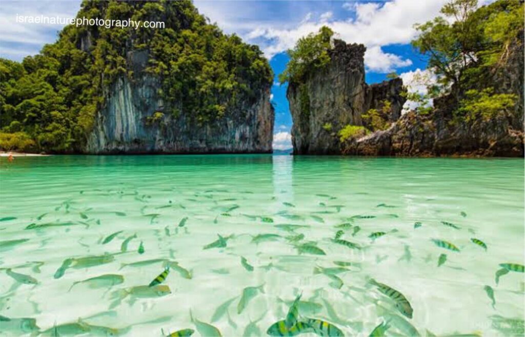 เกาะโอ่ง  หรือที่รู้จักกันในท้องถิ่น เกาะห้อง เกาะสวรรค์แห่งอันดามันทางภาคใต้ของประเทศไทย เกาะห้องตั้งอยู่ในอาณาเขตของอุทยานแห่งชาติ