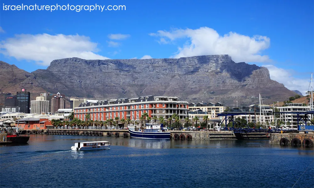 Table Mountain ภูเขาสัญลักษณ์แห่งเคปทาวน์