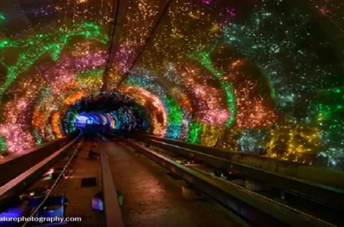 Bund Sightseeing Tunnel