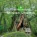 Shiratani Unsuikyo