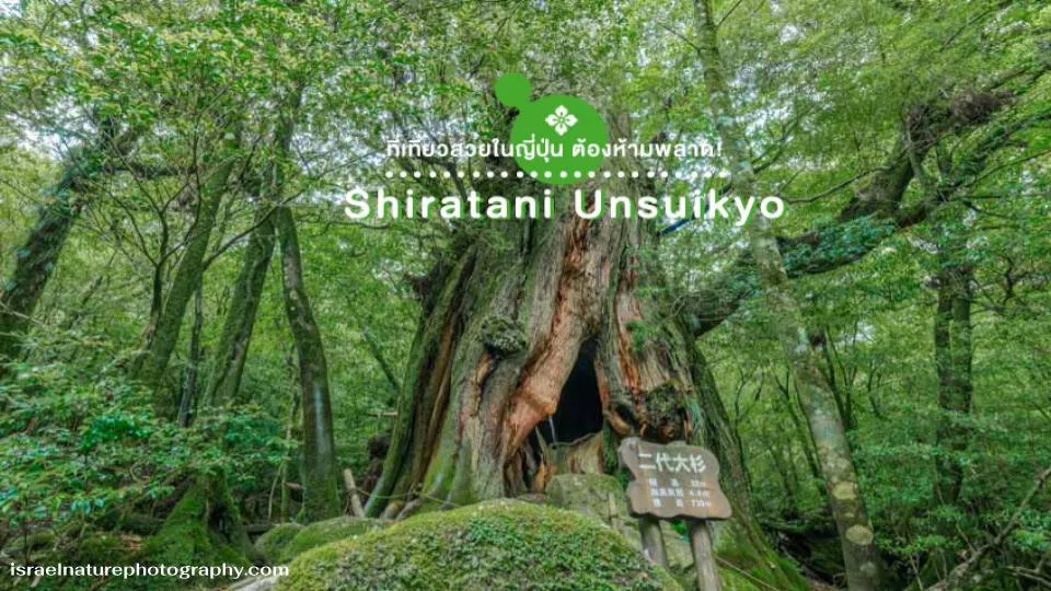 Shiratani Unsuikyo