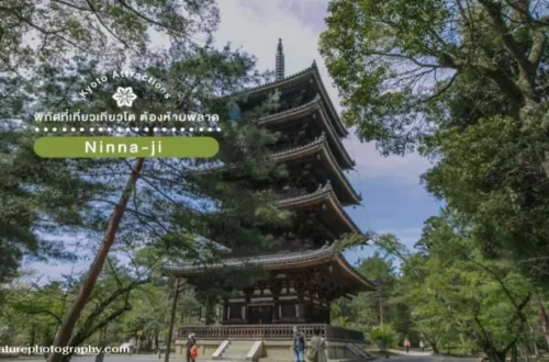 Ninna-ji