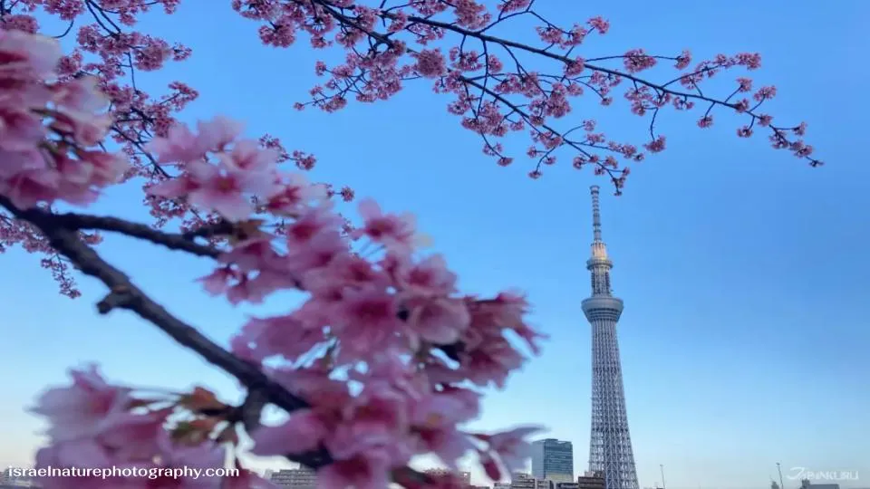 Sumida Park